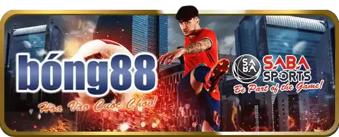 Tổng quan nền tảng nem 88